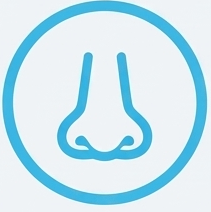 ORL
