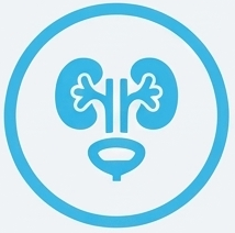 Urologie
